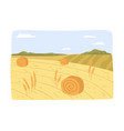 farm field with hay bales agriculture business vector image vector image