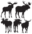 elks silhouette vector image vector image