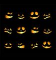 halloween pumpkins vector image