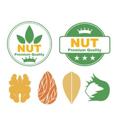 Nuts Royalty Free Vector Image - VectorStock