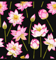 seamless pattern with lotus flowers vector image