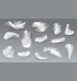 3d realistic set of white feathers vector image
