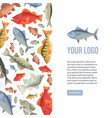 fish banner tuna dorado salamon fishes vector image vector image