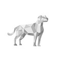 labrador standing low polygon vector image vector image
