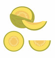 set of melons vector image