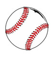 ball baseball vector image