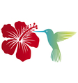 hummingbird and red hibiscus flower vector image vector image