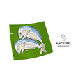 mackerel fresh on banana leaf vector image