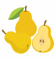 yellow pear with leaf vector image