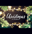 tropical christmas on beach design vector image