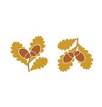 oak leaf vector image