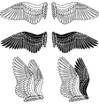 dove wings vector image vector image