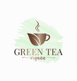 tea cup watercolor logo green organic vector image vector image