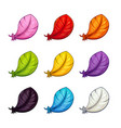 cartoon colorful feather icons set vector image