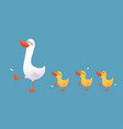 cartoon mother duck and ducklings vector image vector image