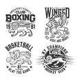 lion animal t shirt print basketball hockey club vector image