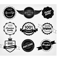 set of premium quality and guarantee labels vector image