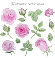 watercolor roses elements set leaves and flowers vector image