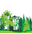 landscape with pine trees vector image