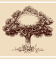 tree frame for labels covers space text vector image vector image