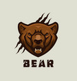 bear head stylized grizzly mascot vector image
