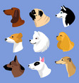 dogs icons in flat style set of dachshund vector image