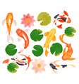 koi carp fishes set swimming colorful goldfish vector image vector image