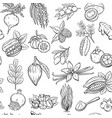 hand drawn superfood seamless pattern vector image