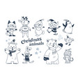 merry christmas animals characters in winter cloth vector image