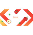 fresh apple fruit background in paper art style vector image