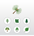 flat icon nature set of timber jungle park vector image vector image