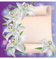 greeting or invitation card with lily flowers vector image vector image