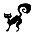 Halloween creepy scary witches cat symbol icon Vector Image