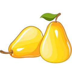 Juicy ripe pear Royalty Free Vector Image - VectorStock