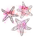 contour black and white of starfish with pink vector image vector image