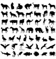 50 animal vector image vector image