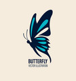 hand drawn butterfly icon closeup isolated vector image