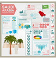 saudi arabia infographics statistical data sights vector image