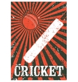cricket typographical vintage grunge style poster vector image