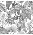seamless monochrome pattern with tropical flowers vector image