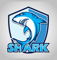 cartoon shark with blue shield on gray vector image