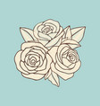 vintage hand drawn roses patch design vector image vector image