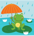 frog hide from rain under umbrella vector image