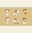 jack russell terrier dog with cute snout wearing vector image
