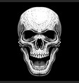 skull position facing forward vector image vector image