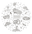 snakes icons set line design collection vector image