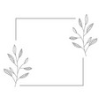botanical leafes frame vector image vector image