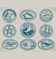 sea adventure set labels monochrome vector image vector image