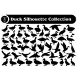 animal duck silhouette collection vector image