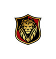 lion head logo design template vector image vector image